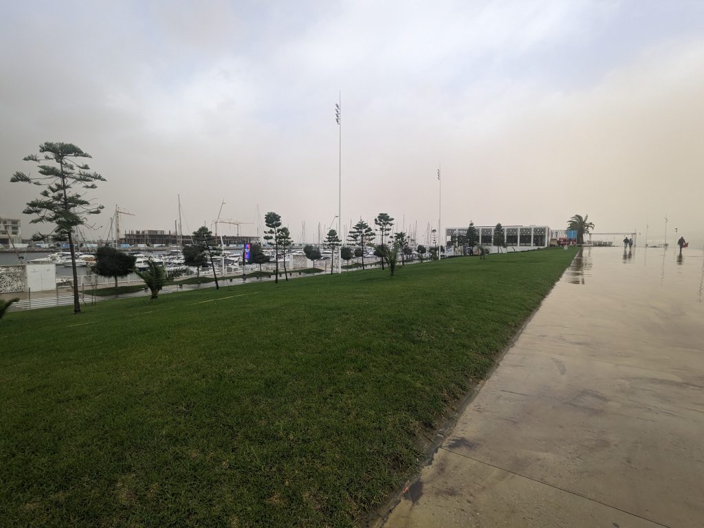 Image of a marina taken from a grassy shore