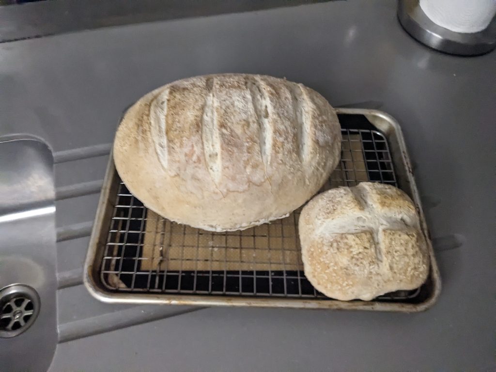 Image of two loaves of bread resting on a rack.