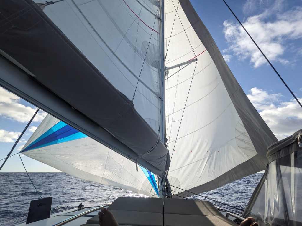 Image of sails out on a sailboat, in a 'wing-on-wing' configuration.