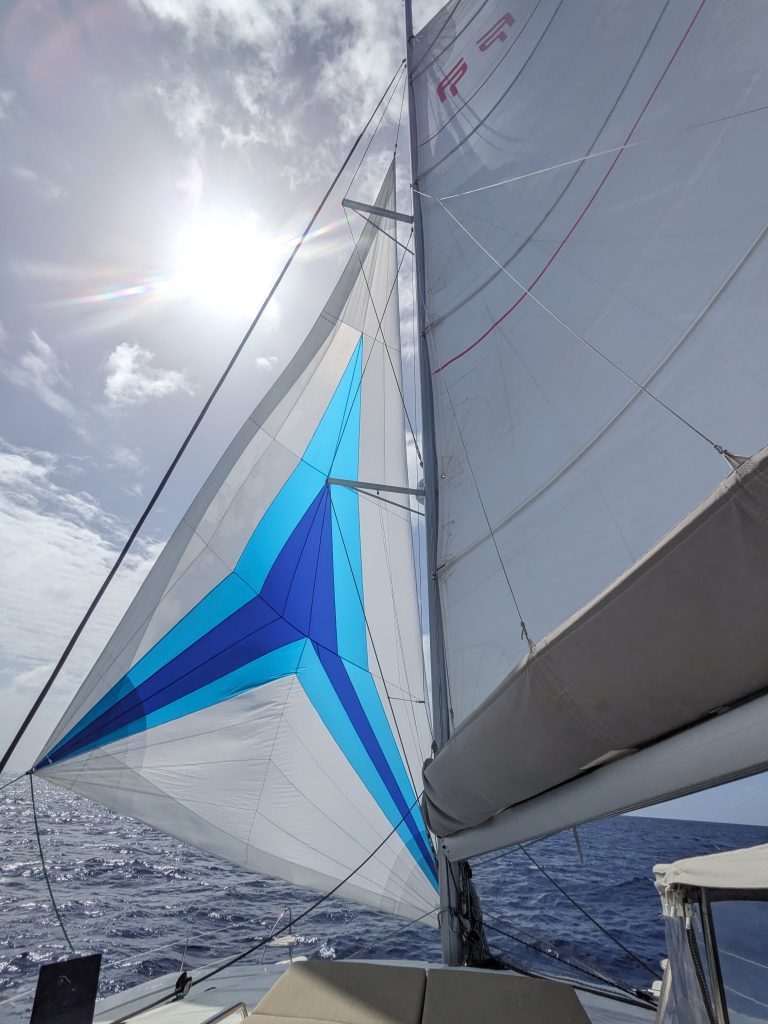 Image of a white and blue "code zero" sail, unfurled and taut in the wind